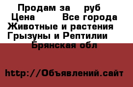 Продам за 50 руб. › Цена ­ 50 - Все города Животные и растения » Грызуны и Рептилии   . Брянская обл.